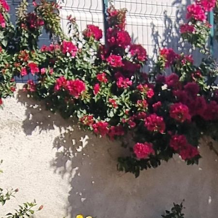 Vila Megi-Rent Room فلورا المظهر الخارجي الصورة